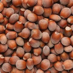 Unpeeled brown hazel nuts background pattern, closeup