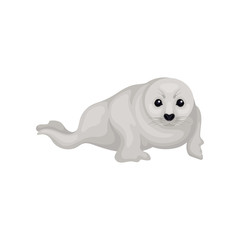 Gray seal pup lying isolated on white background. Animal of Arctic or Atlantic ocean. Marine mammal. Flat vector icon