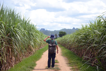 A vintage man backpacker is walking for travel in the country road jungle side summer time in Kanchanaburi, Thailand.