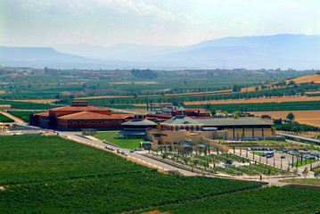Fototapeta na wymiar Paisaje rural Riojano de la zona de Briones, La Rioja
