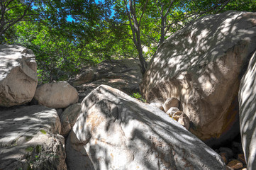 Stones in the sunlight