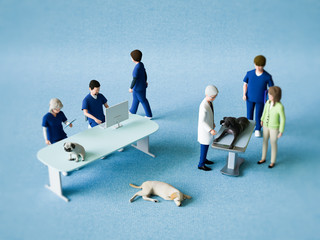 動物病院スタッフ