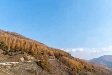 Mountains and forests in autumn
