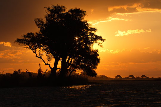 Sunset in Chobe National park in Botswana in Africa