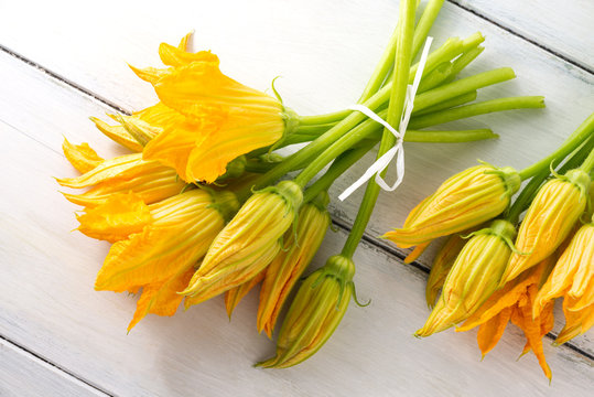 Fiori di zucca freschi 