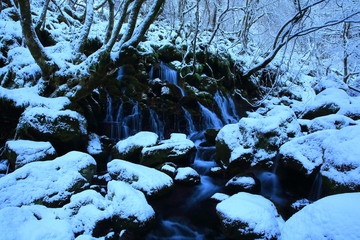 冬の滝
