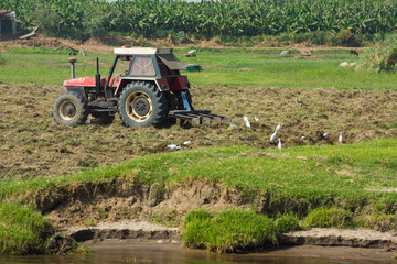 Fototapeta premium Tractor ploughing rural agricultural arable fields in rural setting