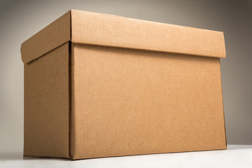 Cardboard archive storage box. Brown blank box for transfer storage