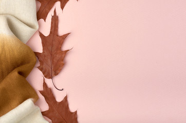 Leaves composition. Nature concept background. Flat lay and top view photo