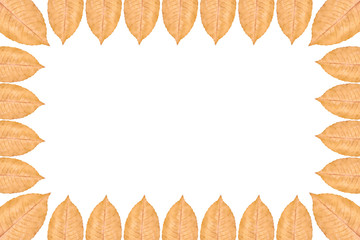 Yellow autumn leaf background, frame and border, copy space photo