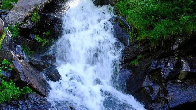 Mountain waterfall at summer green forest. Summer nature video