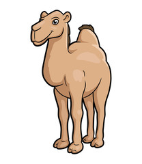 Cartoon illustration of a camel