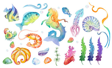 Aquarellillustrationssatz von Meereslebewesen, Algen, Muscheln, Fisch, Korallen, Garnelen, Korallenfischen, schöne Kollektion für Design