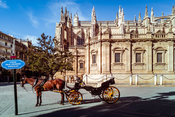 Fototapeta na wymiar The Cathedral of Seville