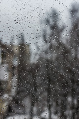 Raindrops on window with tree background. Snow and rain weather. Bubble background. Rain drops on glass.