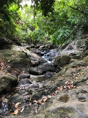 Waterfall in jungle 