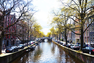 Fototapeta premium amsterdam
