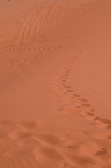Wüste Wadi Rum, Jordanien