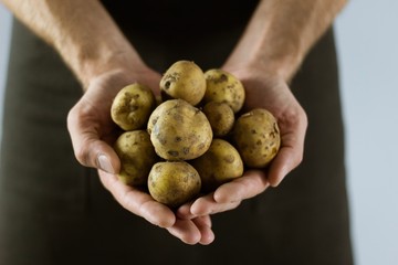 Potatoes in hand