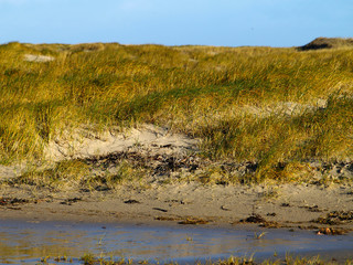 Einzelne Düne in Sankt Peter-Ording