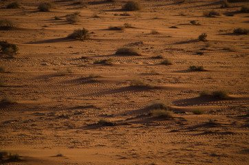 Wüste Wadi Rum, Jordanien