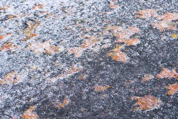 Snow and ice with yellow leaves on asphalt in park.