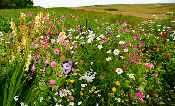 Beauty of nature