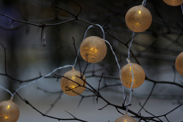 Новогодняя гирлянда на голом дереве © alesiashavel