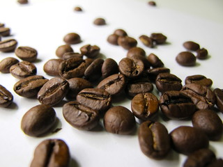 Coffee beans macro close up shot.