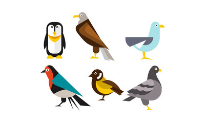 Birds set, penguin, eagle, gull, pigeon vector Illustration