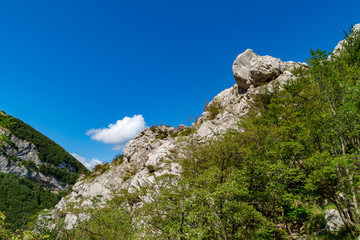 Lungo il sentiero 201 da val d'abisso al monte Nerone