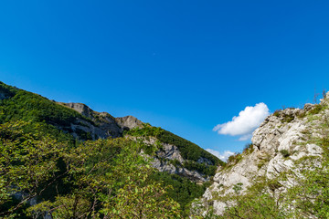 Lungo il sentiero 201 da val d'abisso al monte Nerone