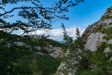 Lungo il sentiero 201 da val d'abisso al monte Nerone