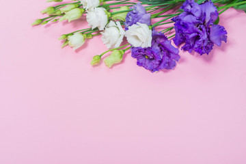 frame of flowers on a blue background pink tenderness greeting card for women March 8 spring roses texture wallpaper gift favorite place for text