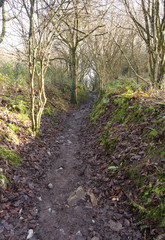 South Wales Coast Path