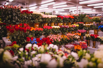 beautiful flower shop assortment. many flowers in fridge warehouse