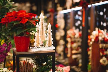 Beautiful colorful christmas shop and house decorations. Flower shop boutique.