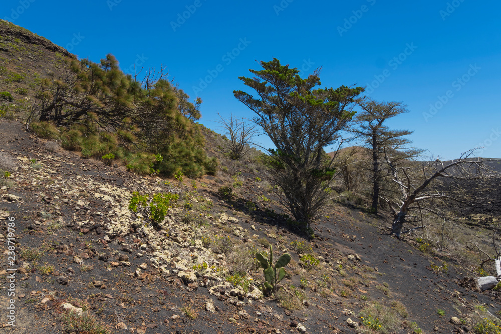 Wall mural Canary islands lanzarote volcano landscape sunny day