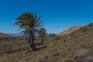 Canary islands lanzarote volcano landscape sunny day