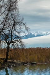The snow capped mountain peaks of central Switzerland emerge above the clouds along the shores of the Upper Zurich Lake (Obersee), near Rapperswil-Jona, Sankt Gallen, Switzerland