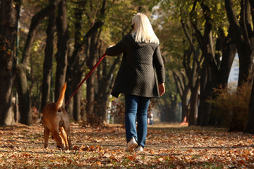 Adult woman having nice moments with her dog at city park