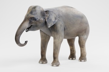 Fototapeta na wymiar Realistic 3D Render of Asian Elephant - Female