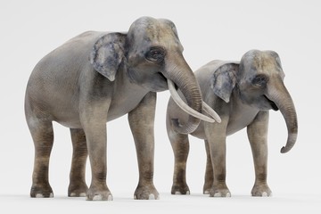 Fototapeta na wymiar Realistic 3D Render of Asian Elephants
