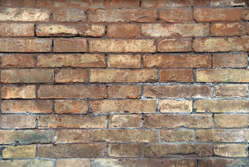 Perfect brick wall texture. Lights and shadows very equlibrate. A brick wall with very regular geometries.