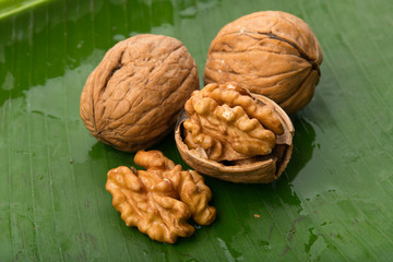 Food:  Closeup of Walnut Isolated on Green Banana Leaf Background Shot in Studio