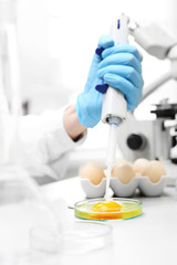Biotechnologia żywności, badanie jajek. Badanie jakości jaj w laboratorium .