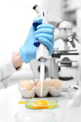 Analiza jakości jaj kurzych pod kątem wartości odżywczych. Badanie jakości jaj w laboratorium .