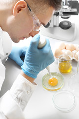 Laboratorium badawcze, badanie jakości jaj. Badanie jakości jaj w laboratorium .