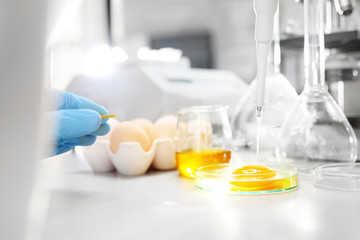 Laboratorium badania jakości jaj. Badanie jakości jaj w laboratorium . - obrazy, fototapety, plakaty