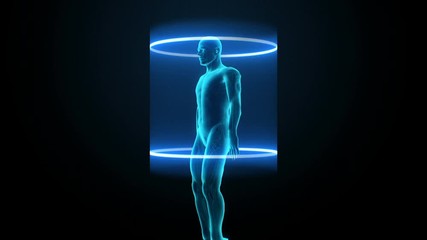 Scanning blood vessel in male body. blue x-ray, 4k animation. 